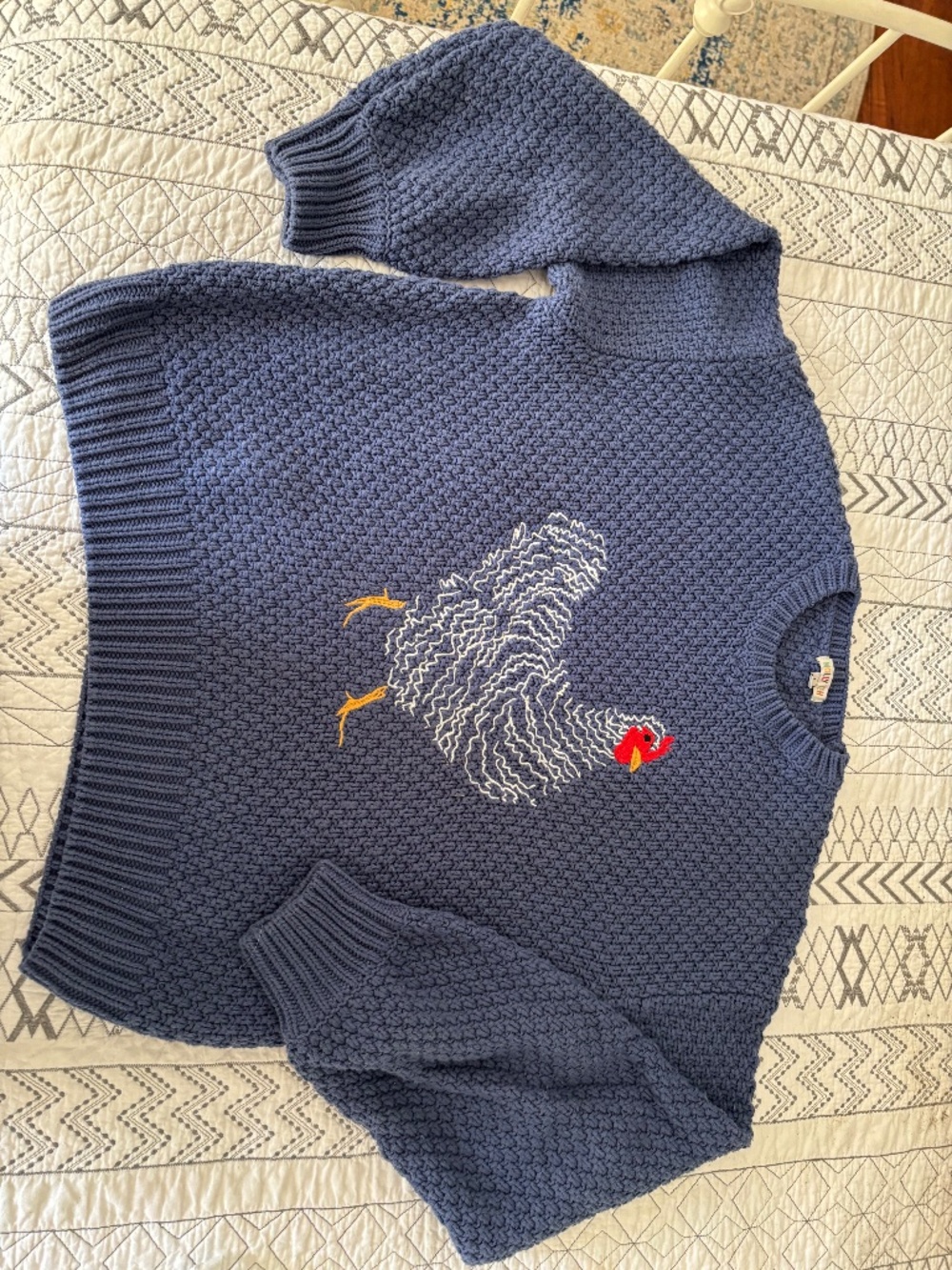 Chicken sweater from Tractor Supply, country blue